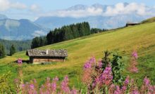 Vendre un bien grâce à la vente à terme
