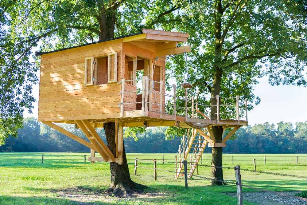 Habitat alternatif cabane